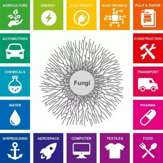 柏林工业大学：真菌技术如何主导未来