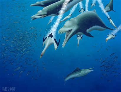 鲸类在平行进化